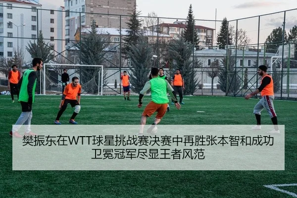 樊振东在WTT球星挑战赛决赛中再胜张本智和成功卫冕冠军尽显王者风范